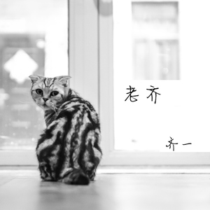 东北浓毛少妇A片
