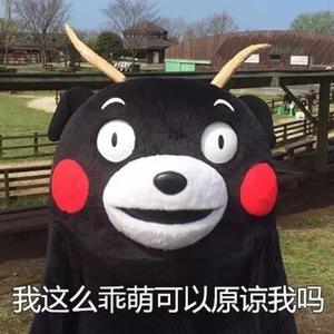 东北浓毛少妇A片
